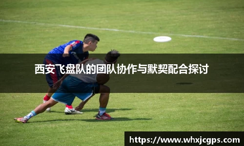 西安飞盘队的团队协作与默契配合探讨