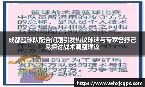 成都篮球队配合问题引发热议球迷与专家各抒己见探讨战术调整建议